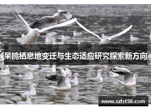呆鸥栖息地变迁与生态适应研究探索新方向